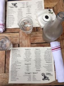 The menu at Terra Tribeca.