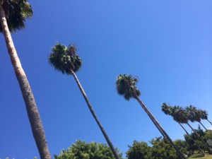 The sky was a bright blue everyday and clouds only appeared as it got later in the evening.