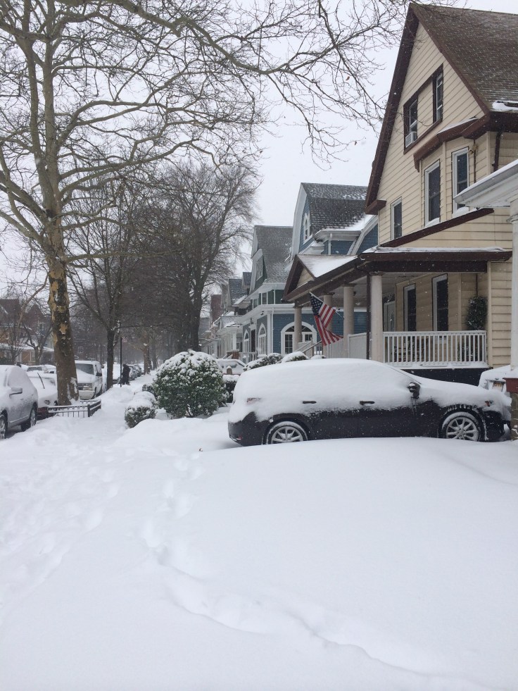 The calm of a quiet snow day.