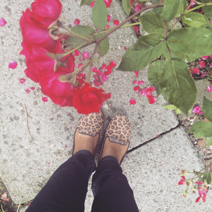 My leopard print flat loafers. Got these from Tar-jay many years ago. They are a bit beaten but still going strong.